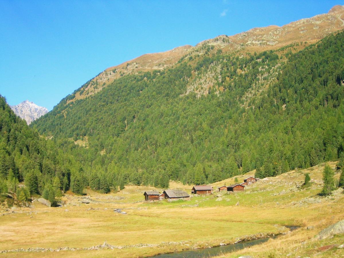 Ledererhof Apartments St Jakob in Defereggen Eksteriør billede